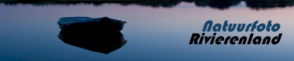 natuurfoto rivierenland
