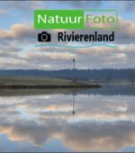 NatuurFoto Rivierenland met logo